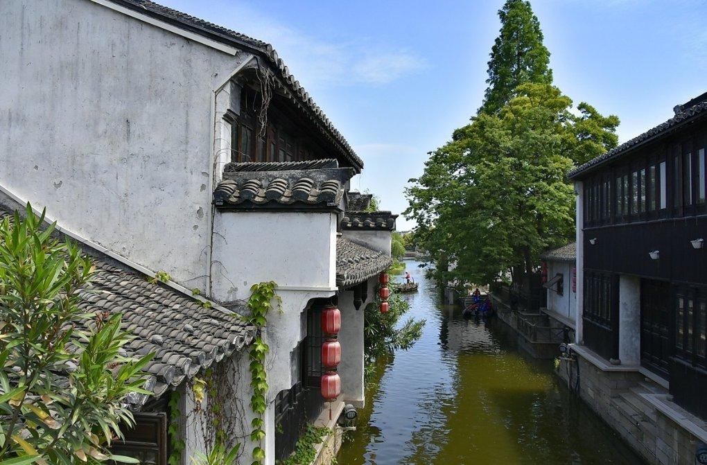 拯救精灵的土地10